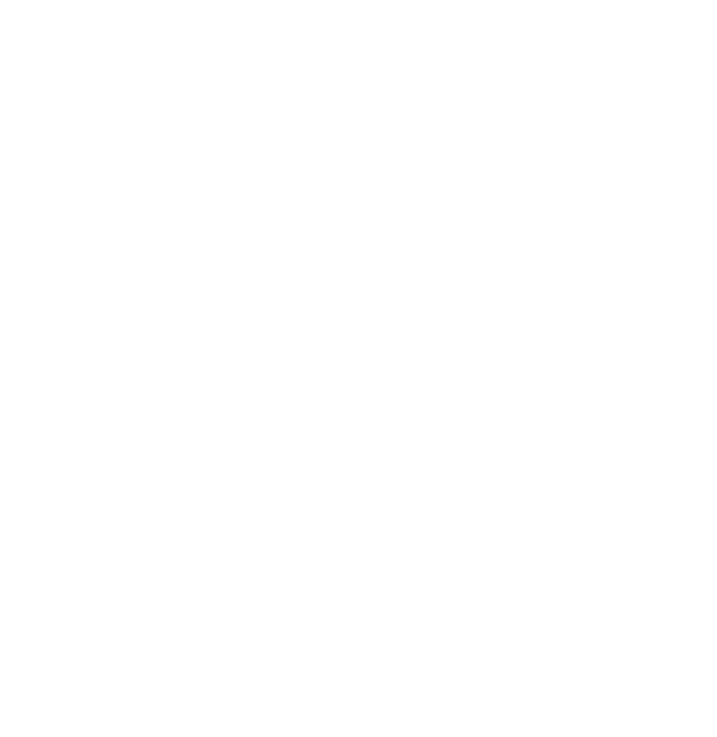 USyd Cybersoc Logo